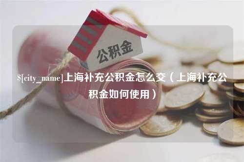 福建上海补充公积金怎么交（上海补充公积金如何使用）